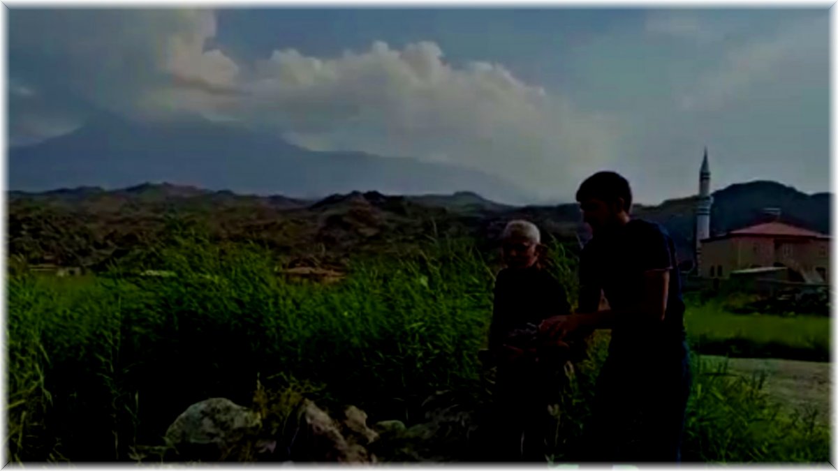 Yol üzerinde bulunan Macar ördeği doğaya bırakıldı