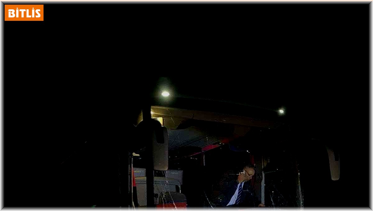 Yola çıkan ata otobüs çarptı