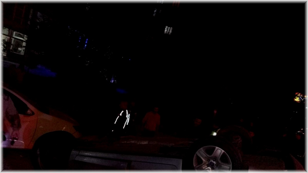 Yola çıkan köpek kazaya neden oldu