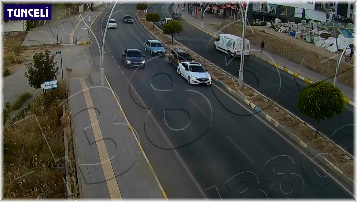 Yola çıkan köpek zincirleme kazaya neden oldu