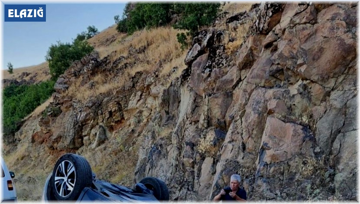 Yola çıkan yılanı ezmemek için direksiyonu kırdı, aracı takla attı