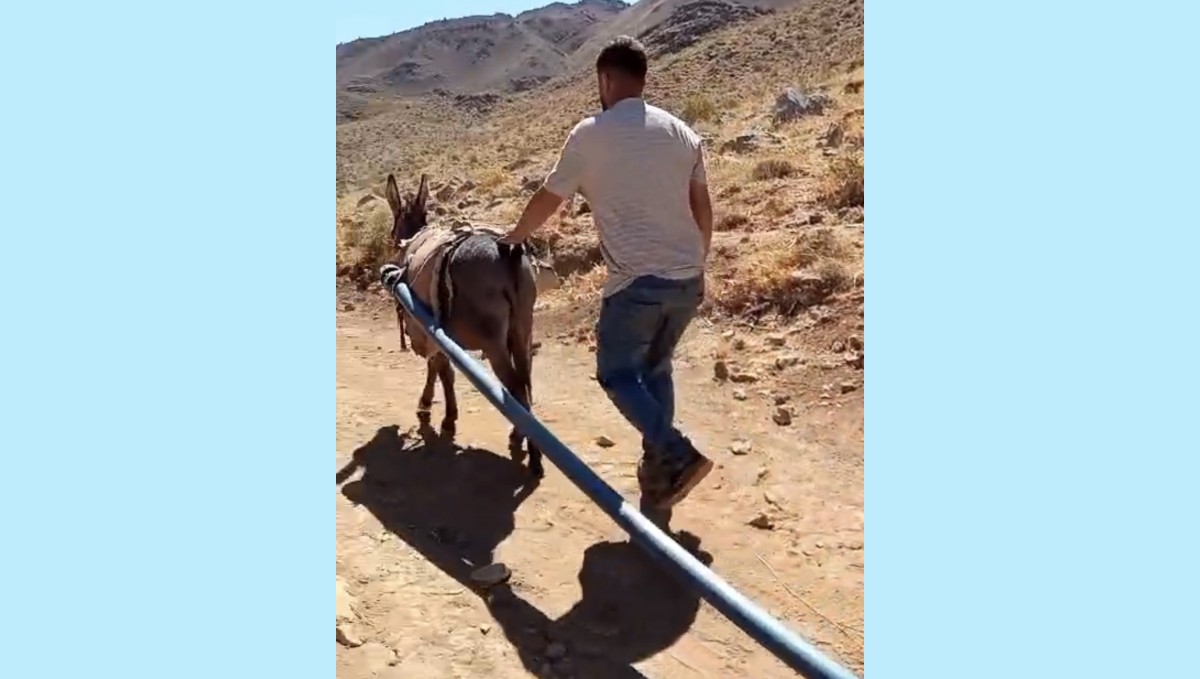 Yolalan'da eşeklerle su seferberliği