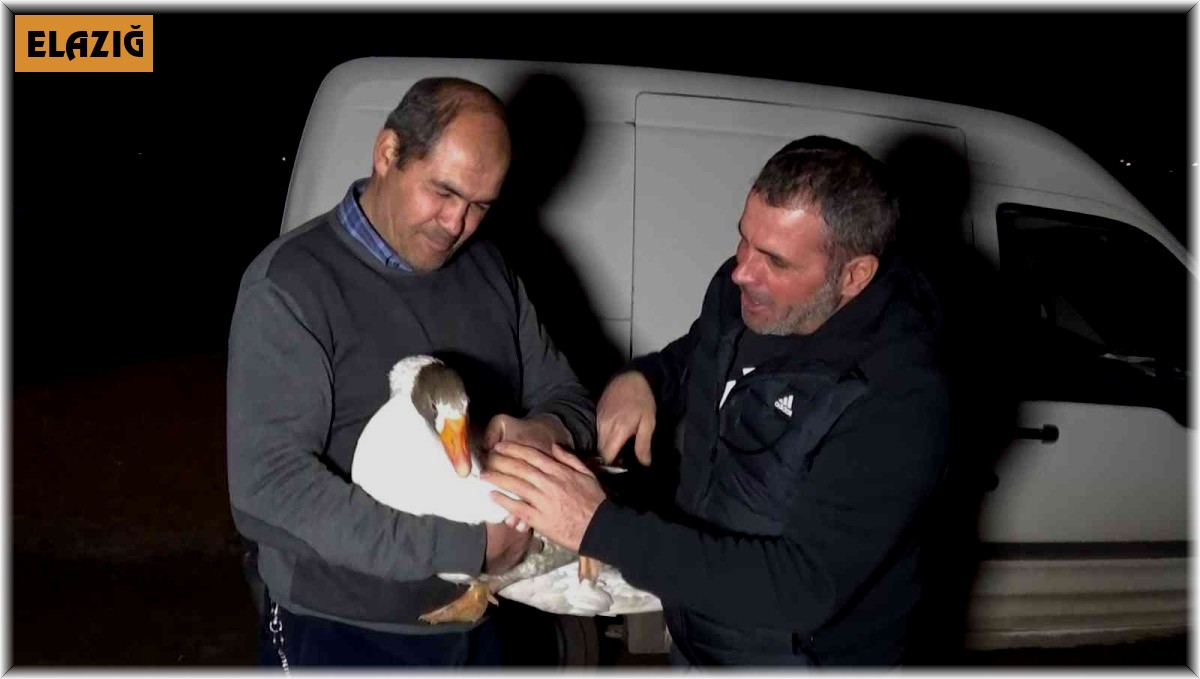 Yolda bulduğu ve 'Mamoş' ismini verdiği kazı, sahibine teslim etti