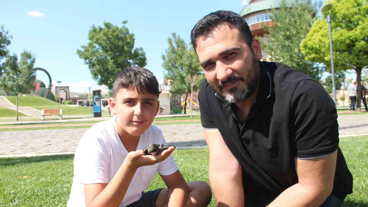 Yolda buldukları yaralı Ebabil kuşunu tedavi edip HAYDİ ekiplerine teslim ettiler