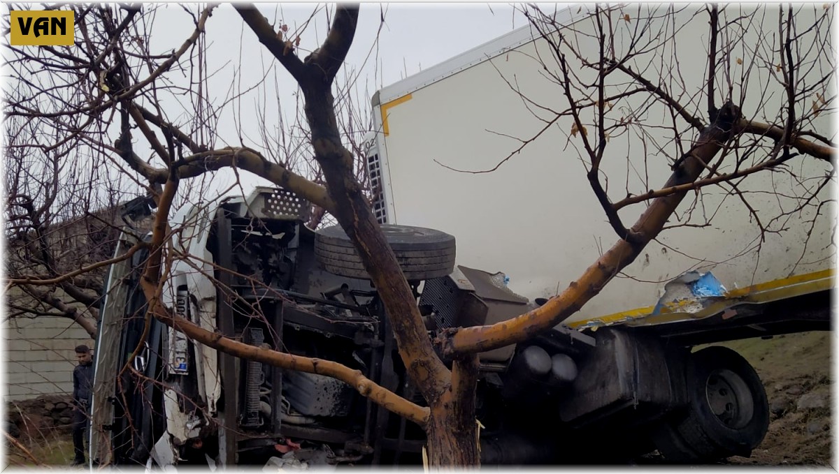 Yoldan çıkan tır meyve bahçesine girdi