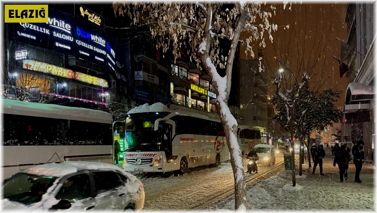 Yollarda mahsur kalan 417 vatandaş yurt ve otellere yerleştirildi