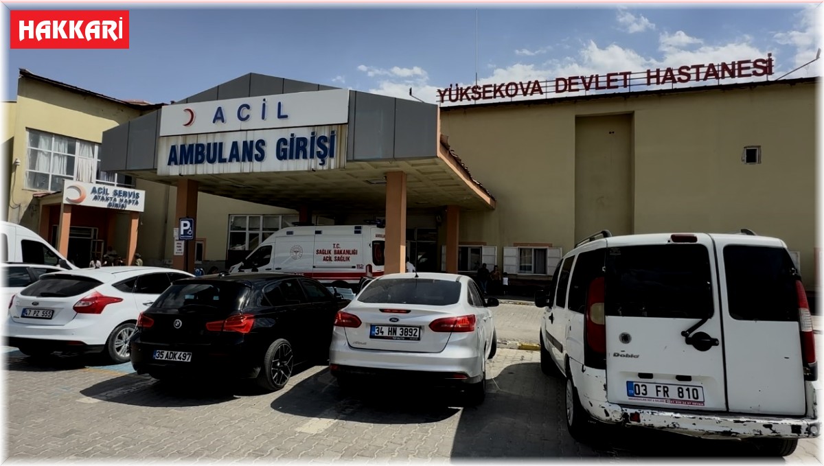 Yolun karşısına geçmek isterken aracın çarptığı yaşlı adam hayatını kaybetti