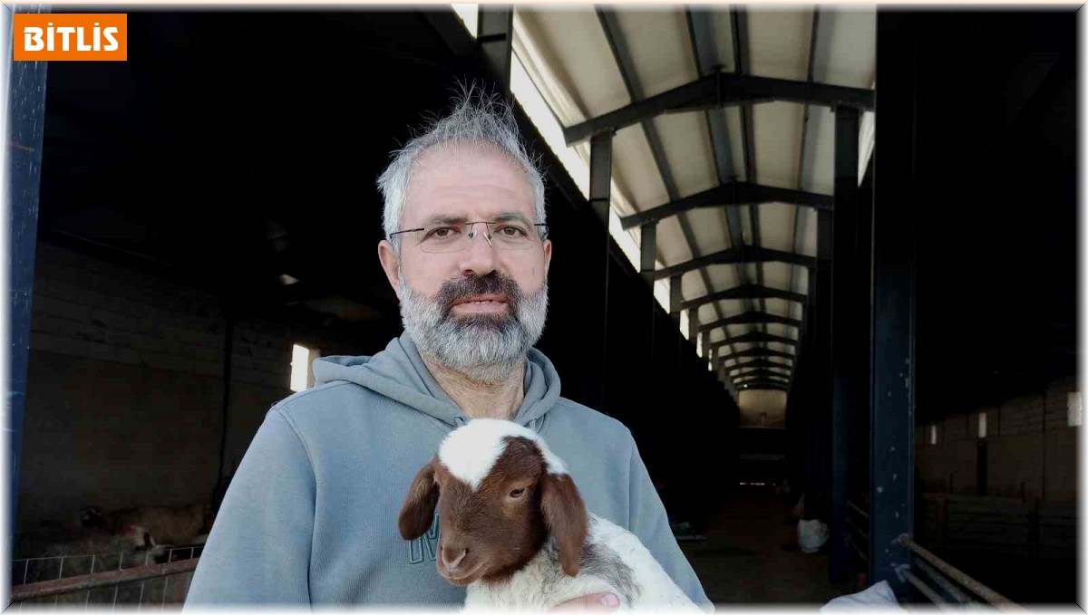 Yöneticiliği bırakıp çocukluk hayali olan küçükbaş hayvan çiftliği kurdu