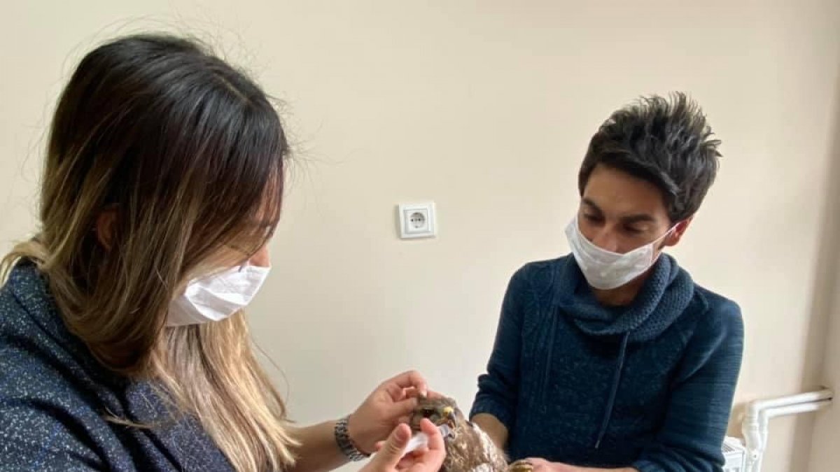 Yorgun düşen Şahin tedavi altına alındı