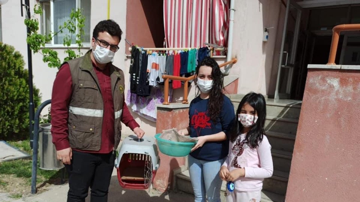 Yorgun halde bulunan güvercin tedavi altına alındı