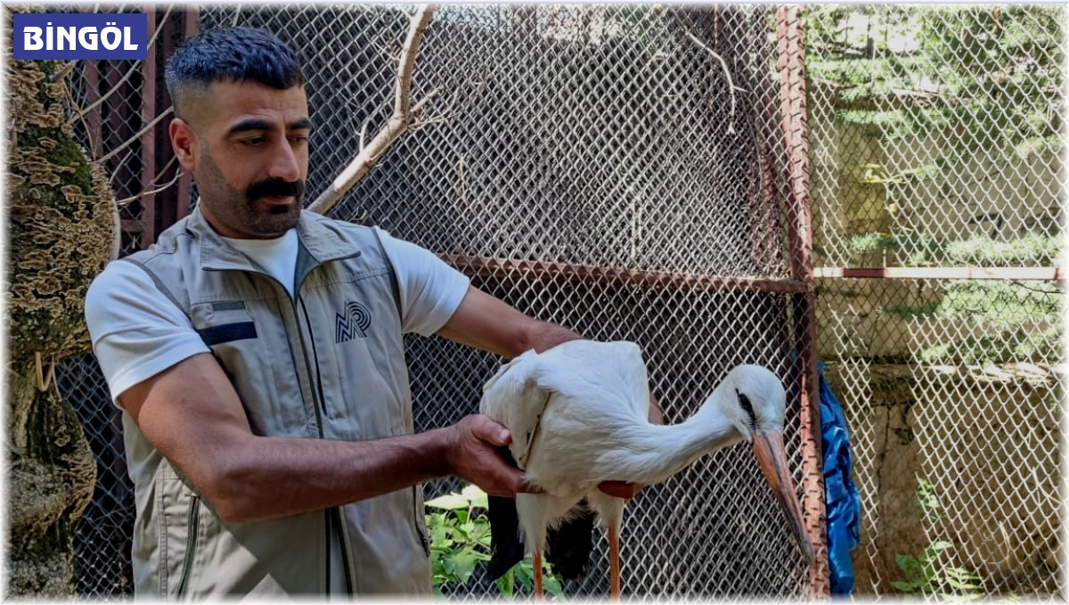 Yorgun ve bitkin halde bulunan yavru leylek tedavi altına alındı