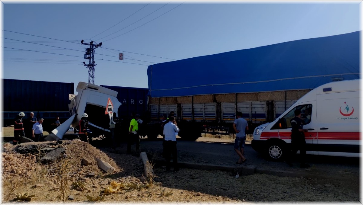 Yük treni ile tır çarpıştı:1 yaralı