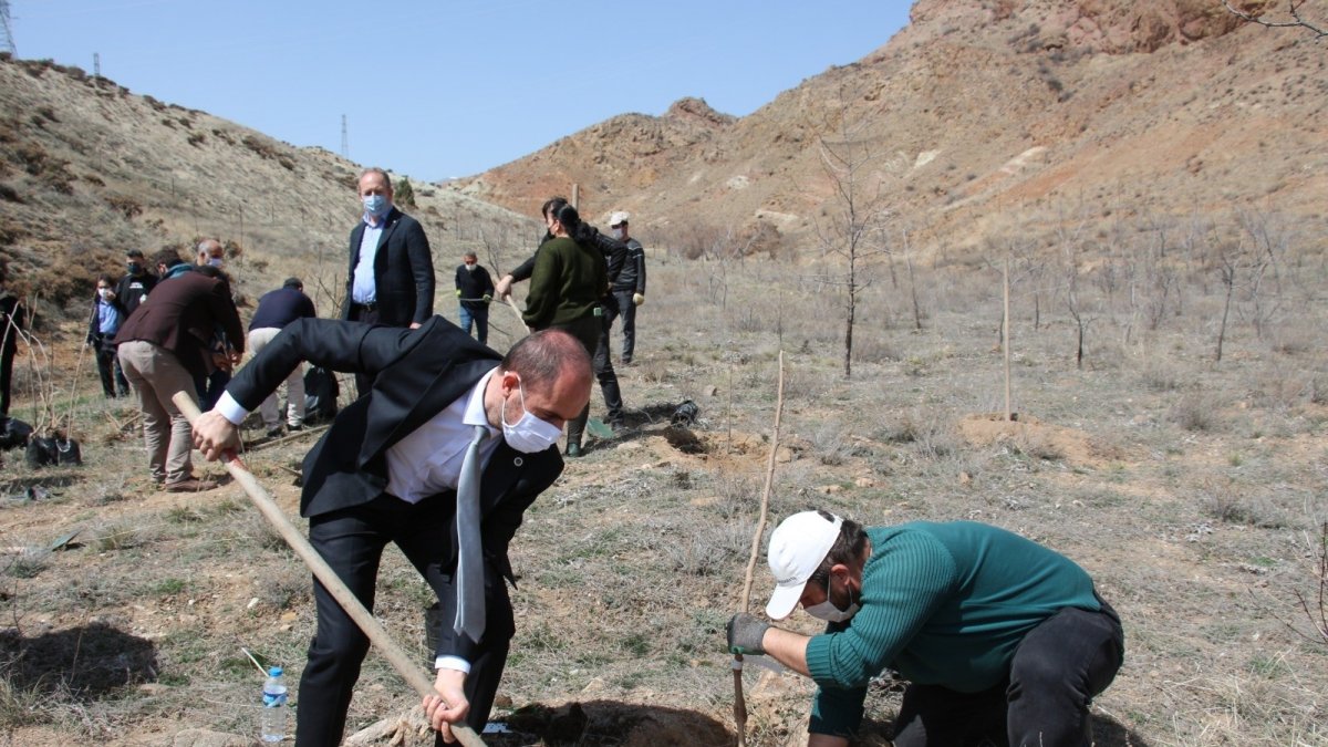 Yüksek okulda sevdikleri meyvelerin fidanlarını diktiler