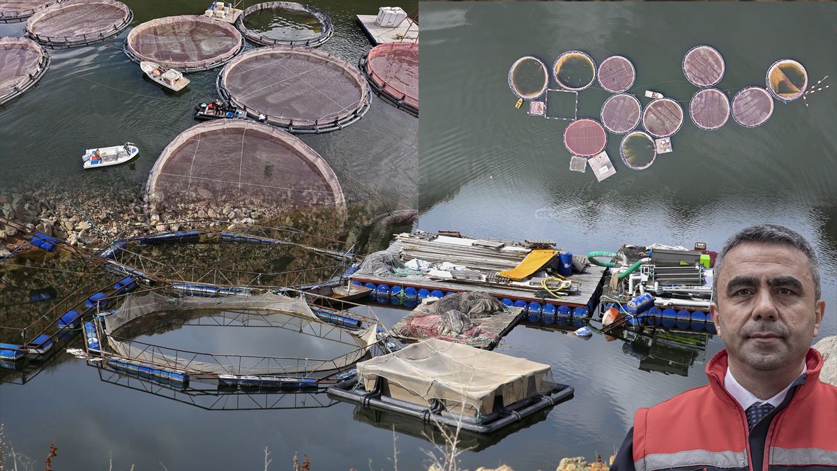 Yüksek rakımı ve serin suları Erzurum’u kafes balıkçılığında cazip hale getirdi