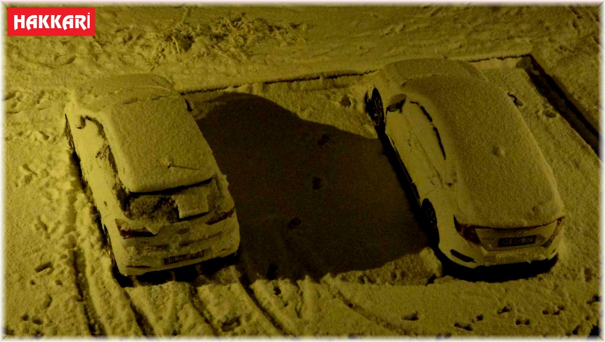 Yüksekova beyaza büründü