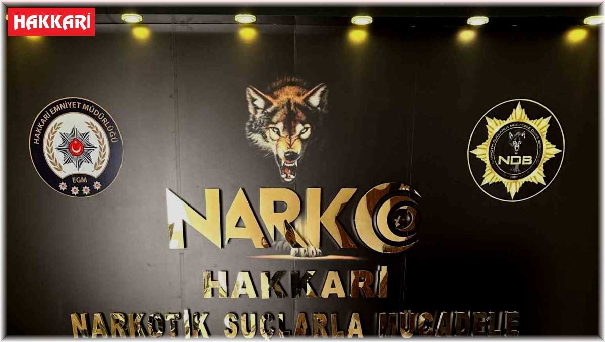 Yüksekova'da 10 bin ampul sentetik ecza ele geçirildi