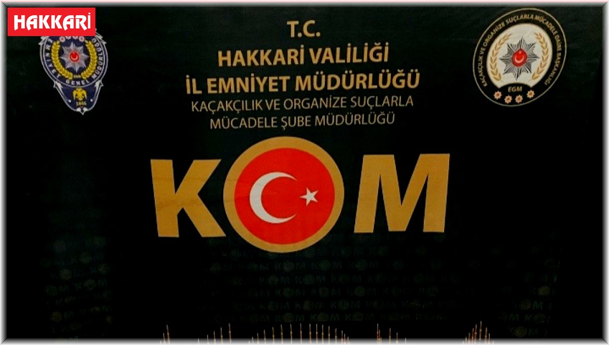 Yüksekova'da 111 adet sikke ele geçirildi