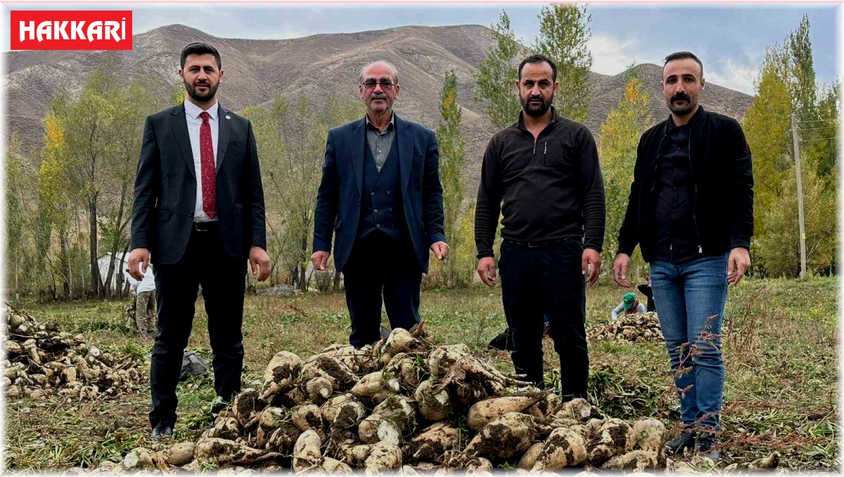 Yüksekova'da 30 yıl aradan sonra şeker pancarı hasadı yapıldı