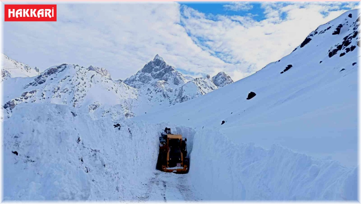 Yüksekova'da 4 metreyi geçen kar tünelleri açılıyor