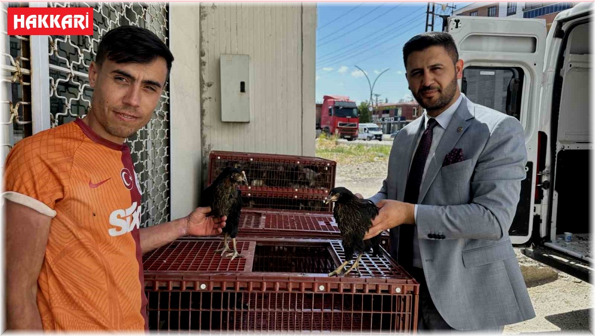 Yüksekova'da 5 bin kanatlı hayvan dağıtıldı