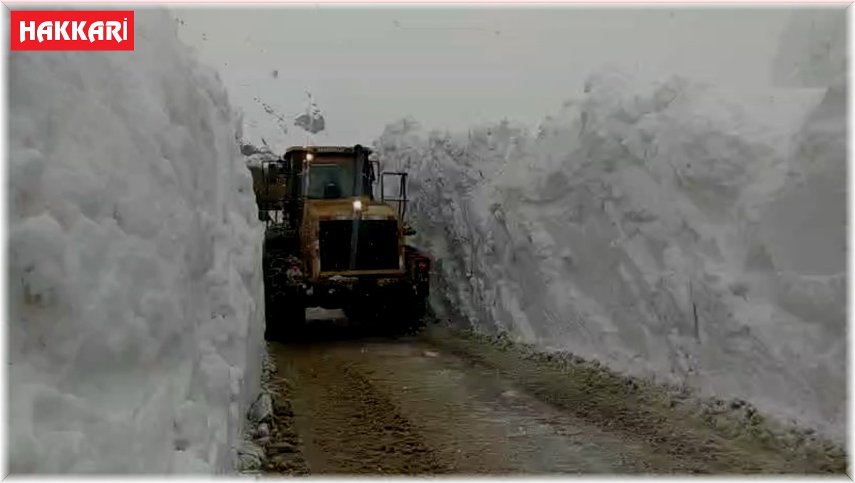 Yüksekova'da 5 metrelik kar tünelinde çalışma