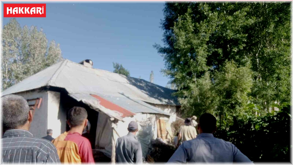 Yüksekova'da 500 bağ ot yandı