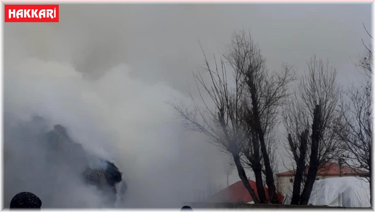 Yüksekova'da 6 bin bağ ot yandı
