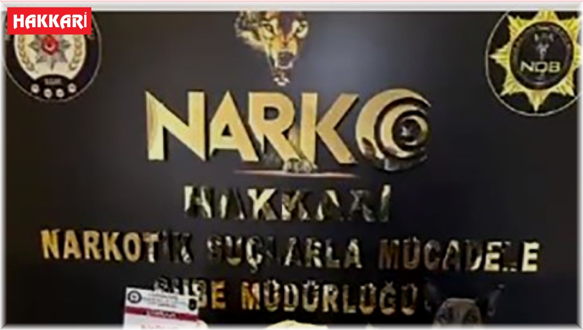 Yüksekova'da 72 kilo esrar 90 kök kenevir ele geçirildi