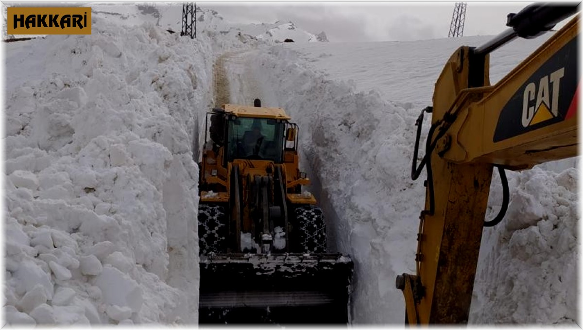 Yüksekova'da 8 metrelik kar tünelleri