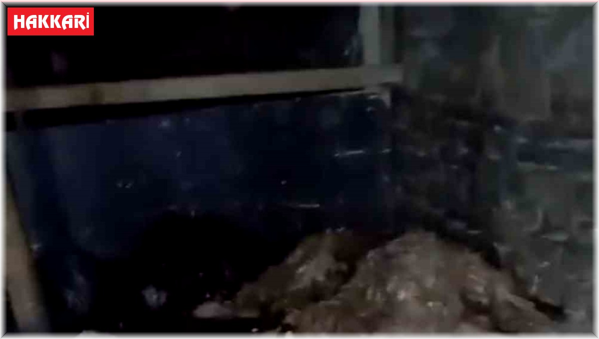 Yüksekova'da ağıl çöktü: 20 koyun telef oldu