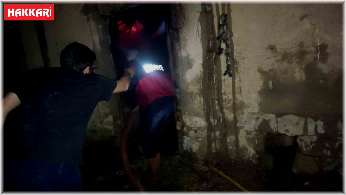 Yüksekova'da ahır yangını