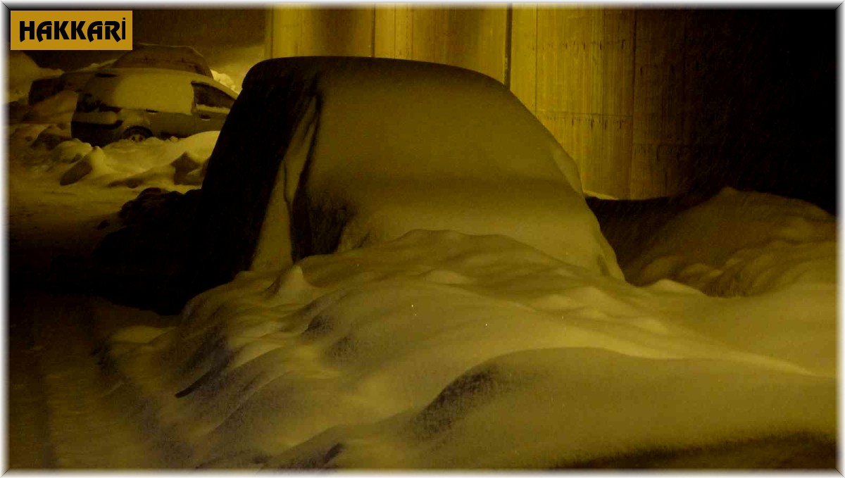 Yüksekova'da araçlar kara gömüldü