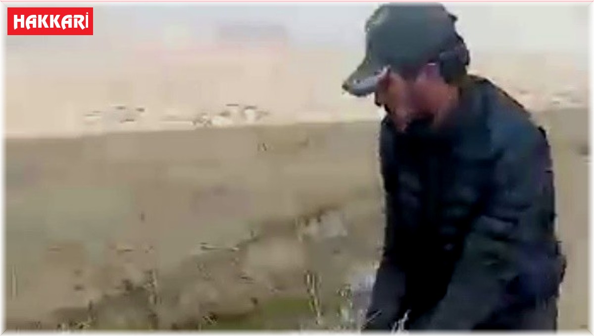 Yüksekova'da bataklığa saplanan ineği itfaiye ekipleri kurtardı