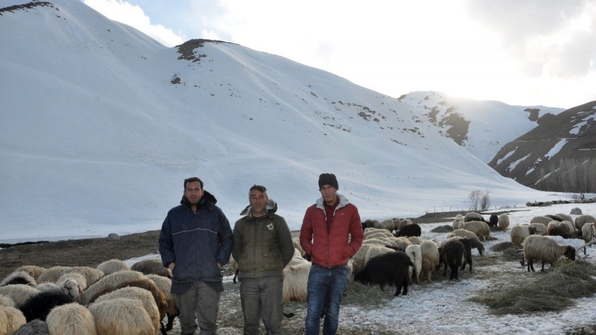 Yüksekova'da besicilerin kış mesaisi devam ediyor