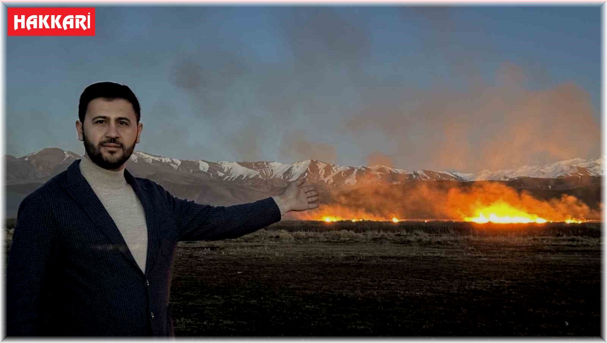 Yüksekova'da binlerce kuş türünün yaşadığı Nehil sazlığı cayır cayır yanıyor