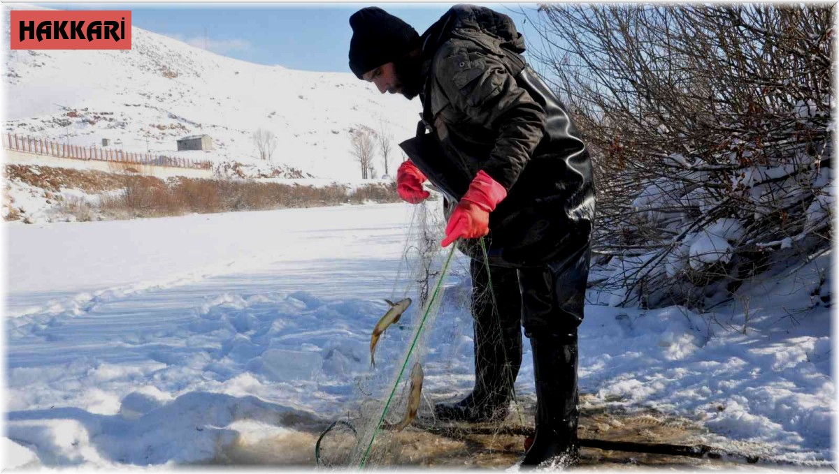 Yüksekova'da buz tutan derede kazma ve kürekli 'Eskimo usulü' balık avı