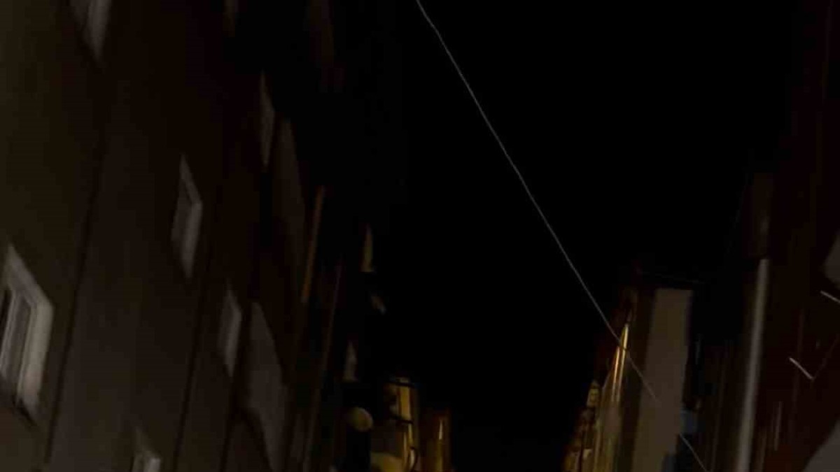 Yüksekova'da caddede yürüyen başıboş eşekler görenleri gülümsetti