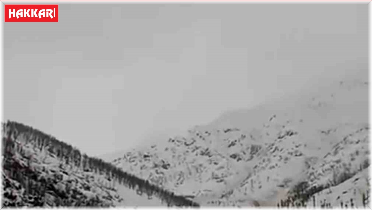 Yüksekova'da çığ düştü, köyün şehirle ulaşımı kesildi