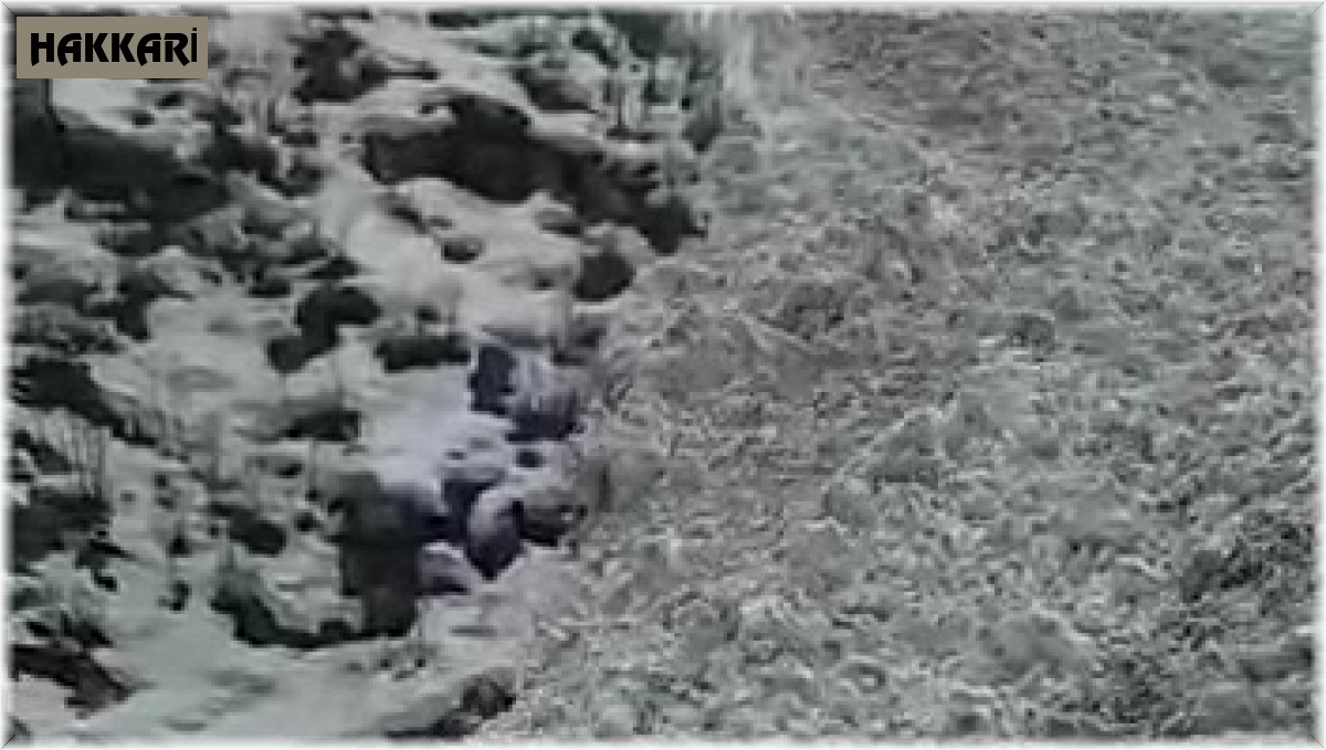 Yüksekova'da çığın inme anı saniye saniye cep telefon kamerasına yansıdı