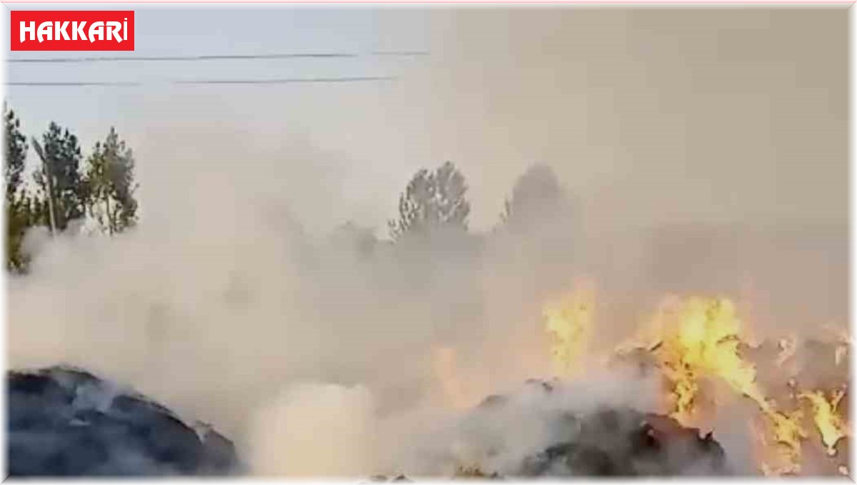 Yüksekova'da çıkan yangında 20 bin bağ ot kül oldu