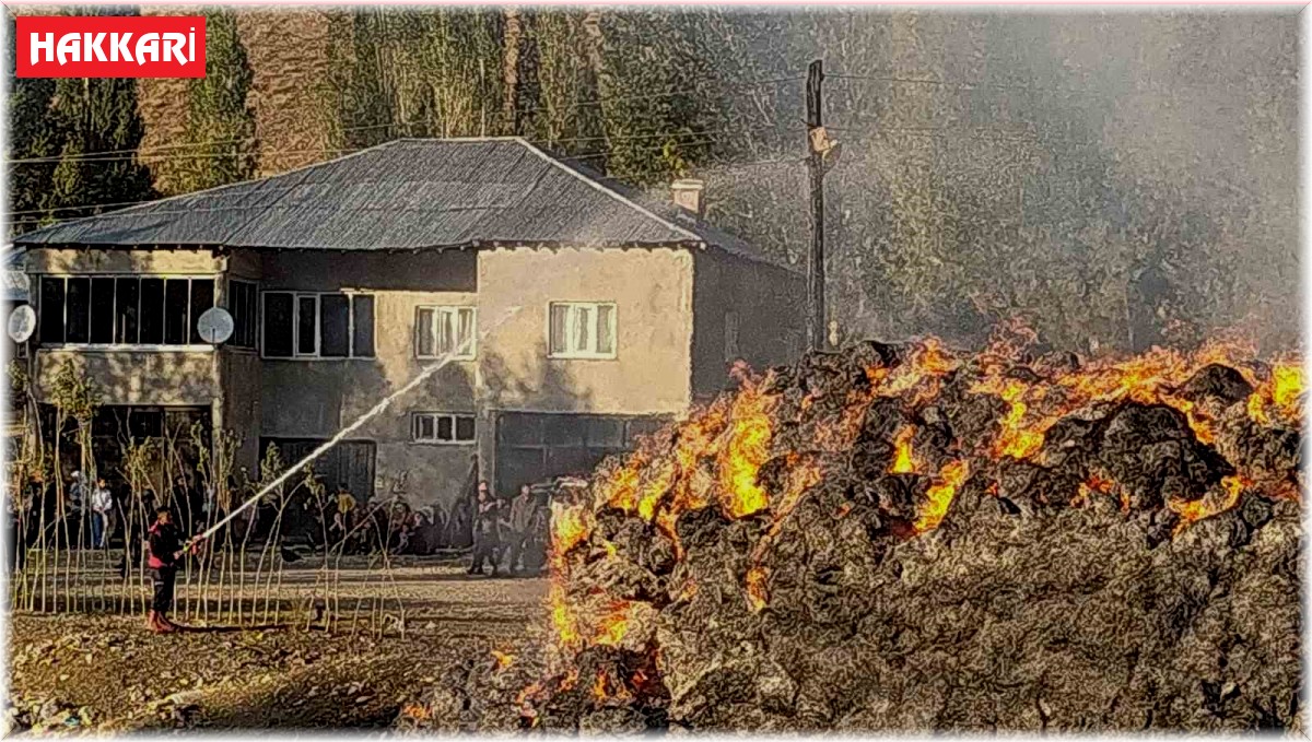 Yüksekova'da çıkan yangında 20 bin bağ ot yandı