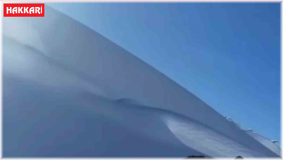 Yüksekova'da dev ayı karda yürürken görüntülendi