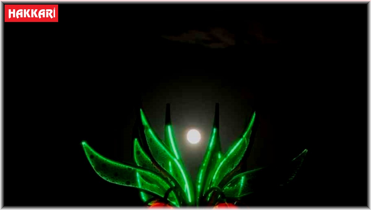 Yüksekova'da dolunay manzarası görenleri mest etti