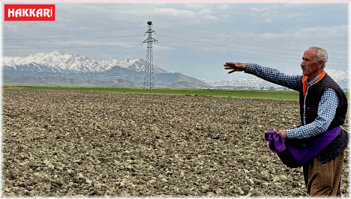 Yüksekova'da ekim mesaisi başladı
