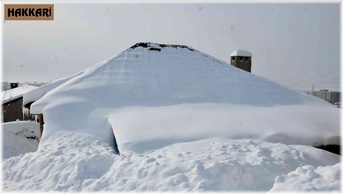 Yüksekova'da evler kara gömüldü