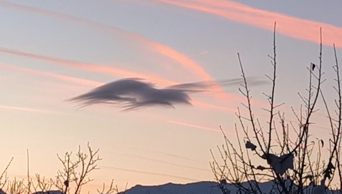 Yüksekova'da gökyüzünde doğa şöleni: Bir bulut onlarca silüet