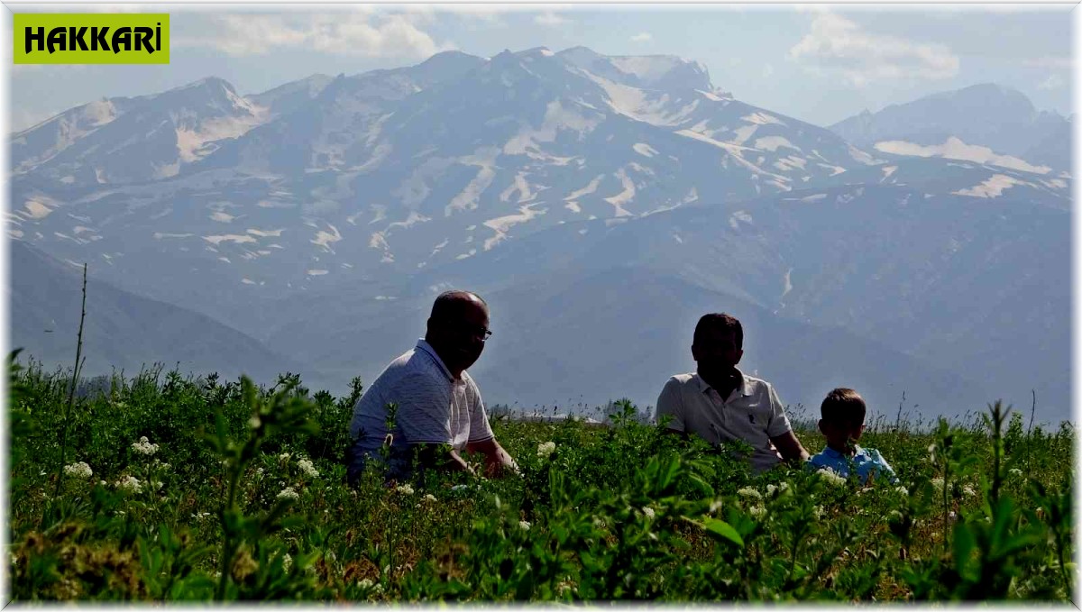 Yüksekova'da iki mevsim bir arada