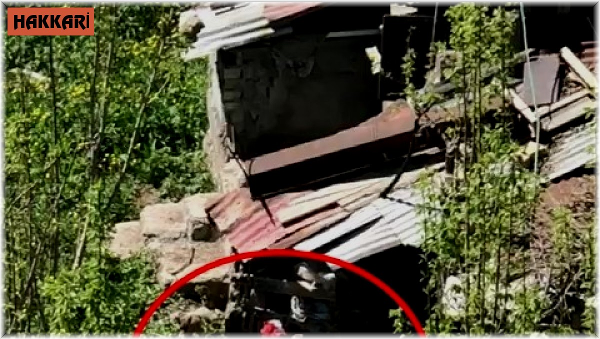 Yüksekova'da ilçe merkezine inen tilki yavrularıyla görüntülendi