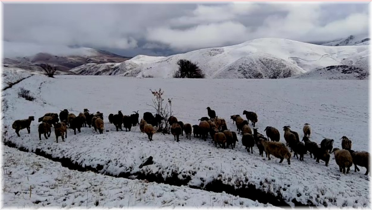 Yüksekova'da kar 5 santimi buldu