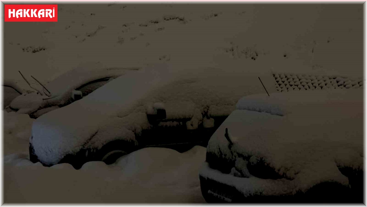 Yüksekova'da kar kalınlığı 20 santimetreyi buldu: Araçlar kara gömüldü